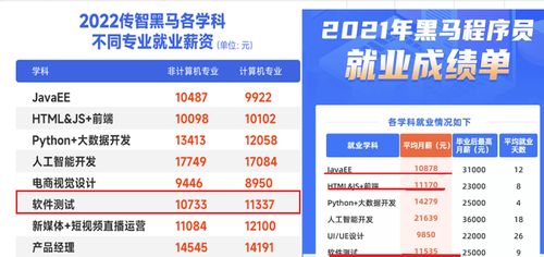軟件開發(fā)與軟件測試 如何選擇適合你的網(wǎng)絡(luò)技術(shù)服務(wù)職業(yè)道路？